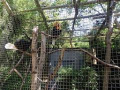 101PARC AUX OISEAUX DANS L AIN 2016 1_000043